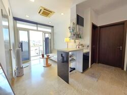 Palmera East (D14), Apartment #566572651